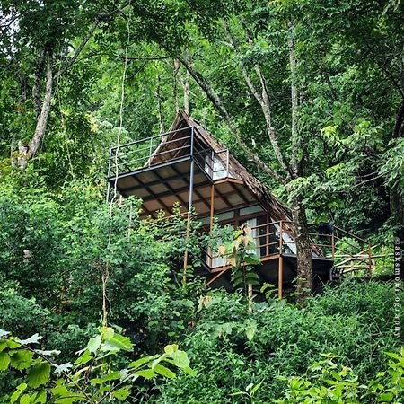 Sunset Valley Kerala Pool Resort - Serene Natural Forest Cottage Stay In Idukki With Sunrise & Sunset Panoramas, Natural Streams & Tranquil Summer Evenings Pīrmed 外观 照片