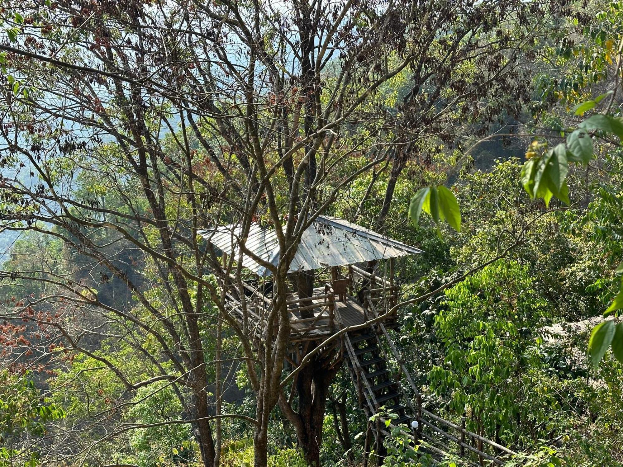 Sunset Valley Kerala Pool Resort - Serene Natural Forest Cottage Stay In Idukki With Sunrise & Sunset Panoramas, Natural Streams & Tranquil Summer Evenings Pīrmed 外观 照片