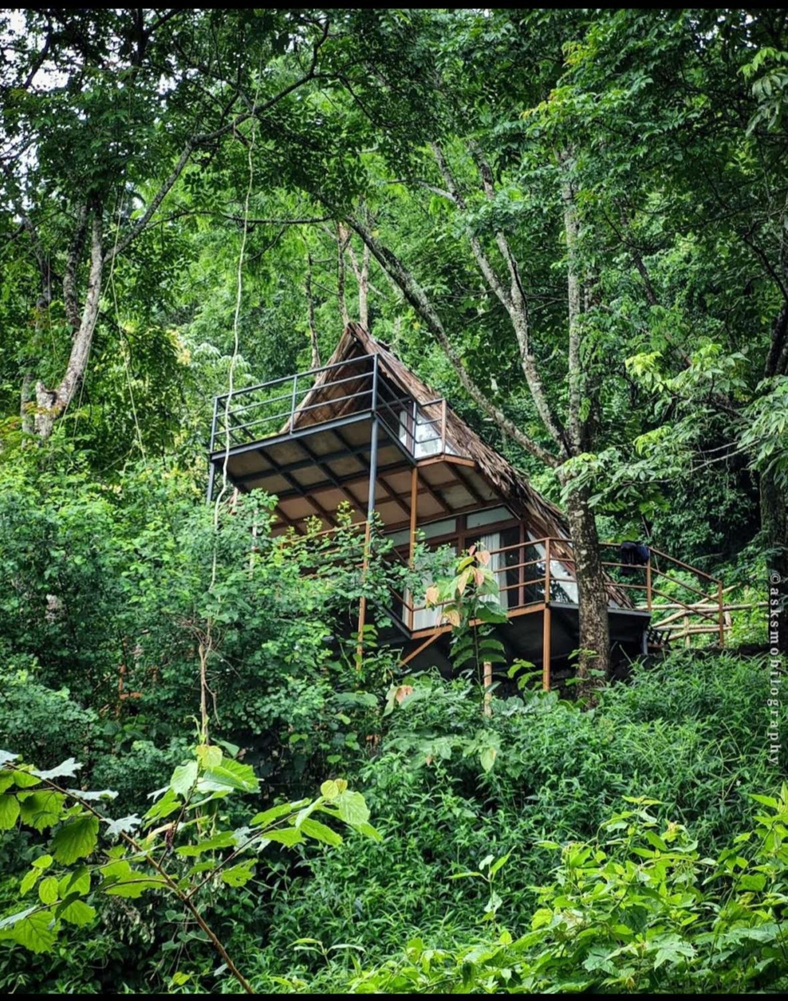 Sunset Valley Kerala Pool Resort - Serene Natural Forest Cottage Stay In Idukki With Sunrise & Sunset Panoramas, Natural Streams & Tranquil Summer Evenings Pīrmed 外观 照片