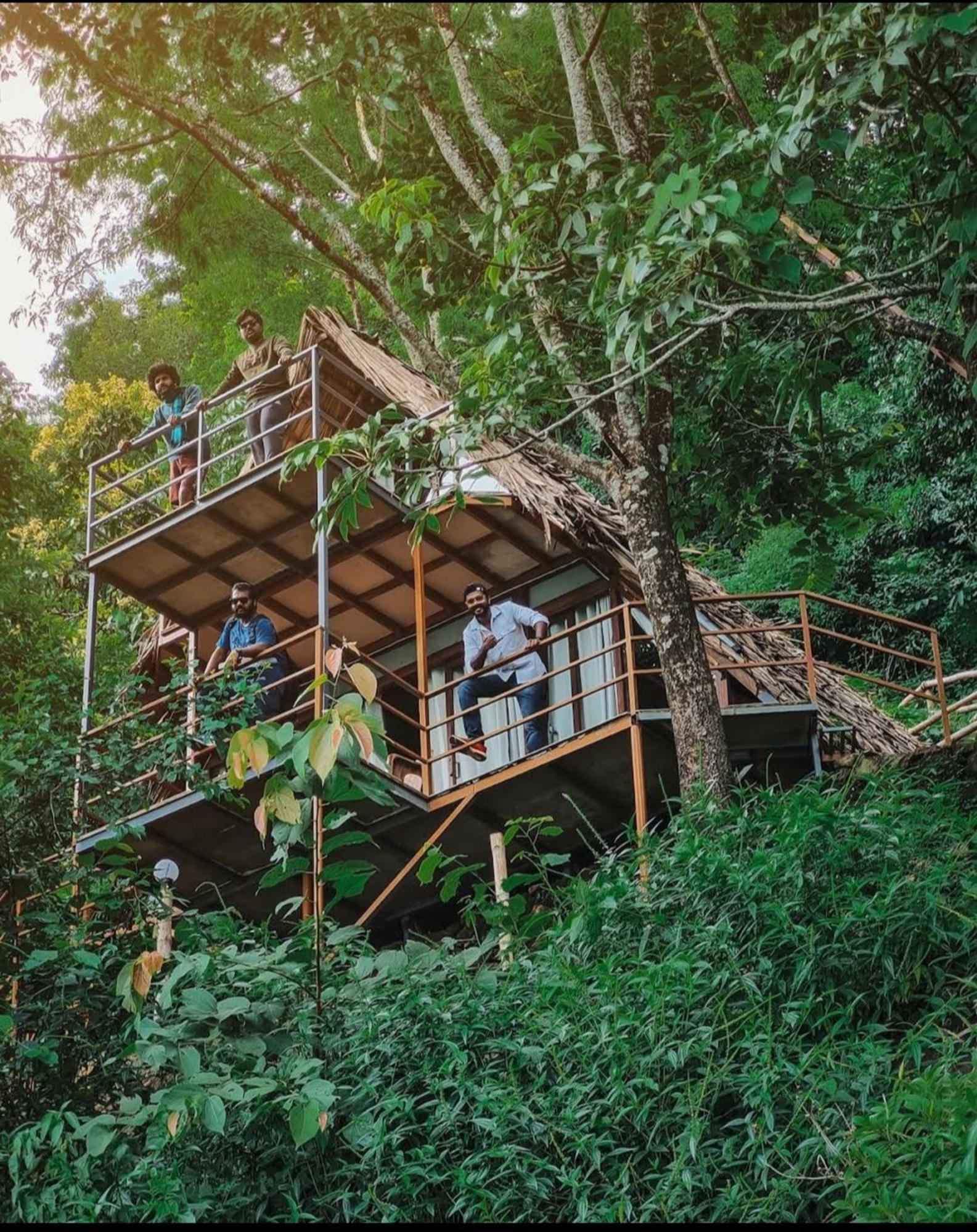 Sunset Valley Kerala Pool Resort - Serene Natural Forest Cottage Stay In Idukki With Sunrise & Sunset Panoramas, Natural Streams & Tranquil Summer Evenings Pīrmed 外观 照片