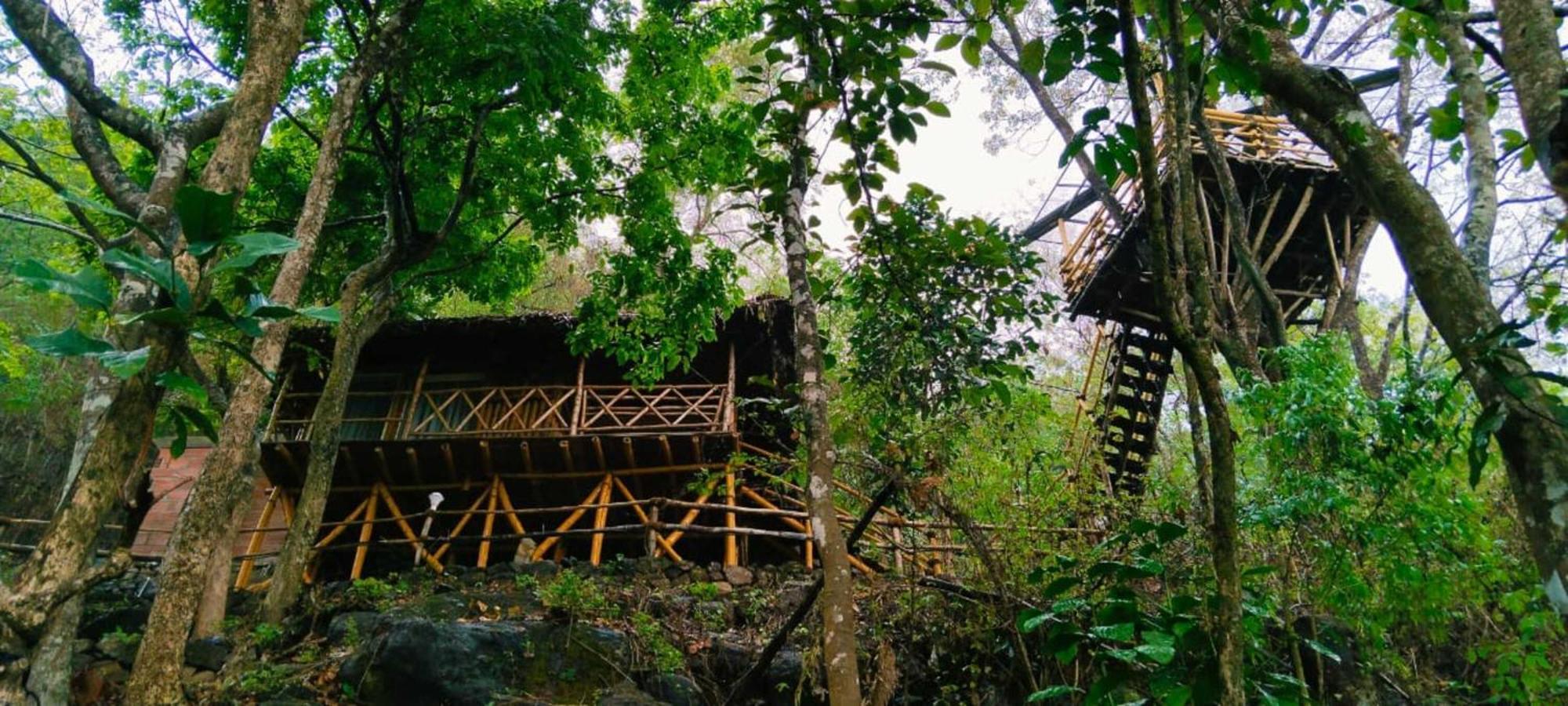 Sunset Valley Kerala Pool Resort - Serene Natural Forest Cottage Stay In Idukki With Sunrise & Sunset Panoramas, Natural Streams & Tranquil Summer Evenings Pīrmed 外观 照片