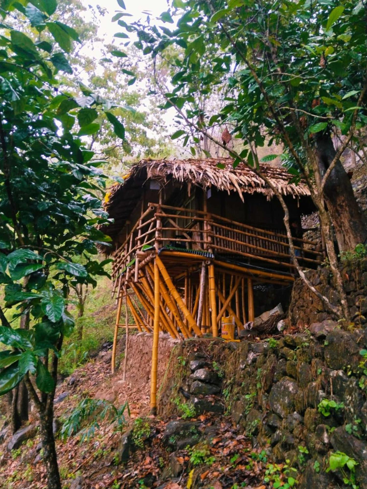 Sunset Valley Kerala Pool Resort - Serene Natural Forest Cottage Stay In Idukki With Sunrise & Sunset Panoramas, Natural Streams & Tranquil Summer Evenings Pīrmed 外观 照片